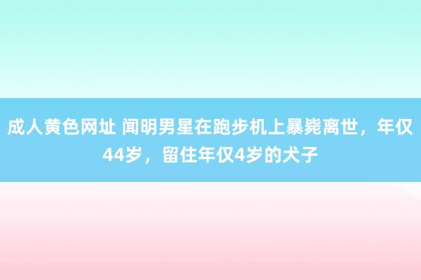 成人黄色网址 闻明男星在跑步机上暴毙离世，年仅44岁，留住年仅4岁的犬子