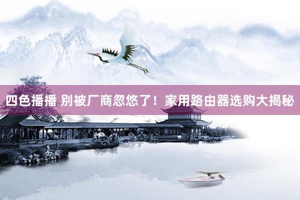 四色播播 别被厂商忽悠了！家用路由器选购大揭秘