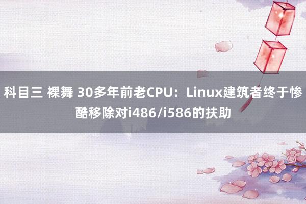 科目三 裸舞 30多年前老CPU：Linux建筑者终于惨酷移除对i486/i586的扶助