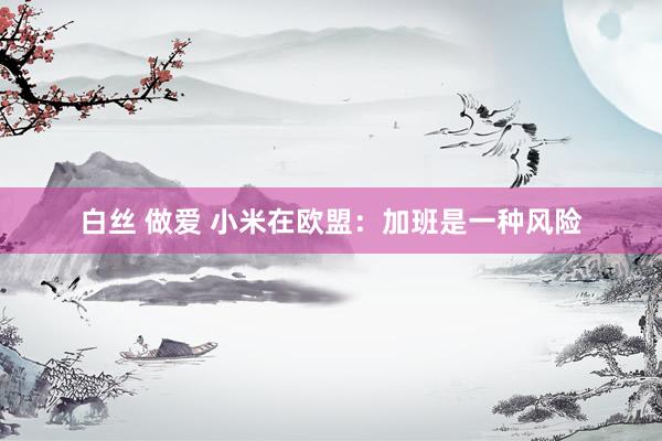 白丝 做爱 小米在欧盟：加班是一种风险