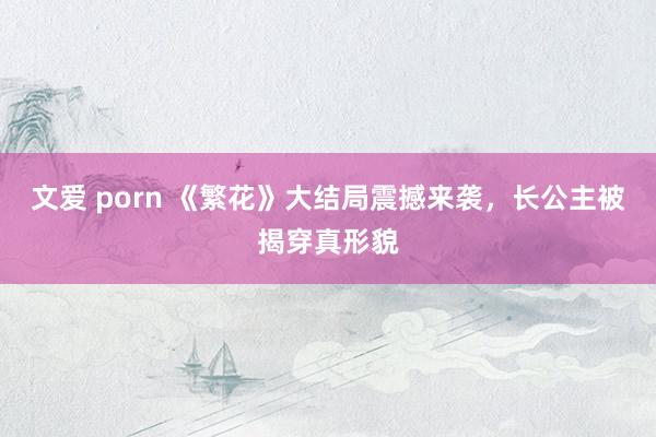 文爱 porn 《繁花》大结局震撼来袭，长公主被揭穿真形貌
