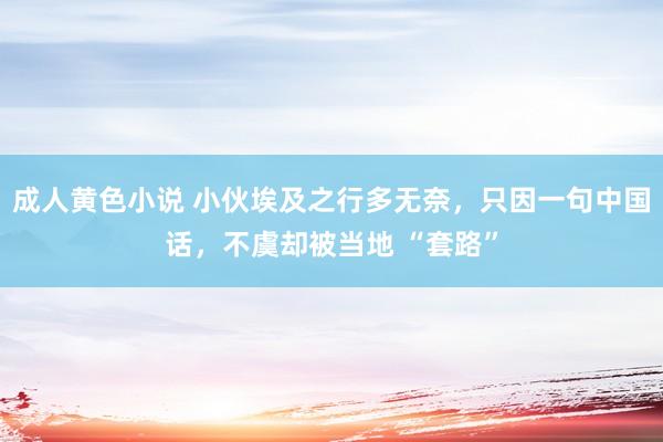成人黄色小说 小伙埃及之行多无奈，只因一句中国话，不虞却被当地 “套路”
