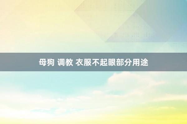 母狗 调教 衣服不起眼部分用途