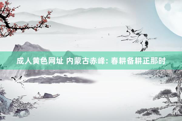 成人黄色网址 内蒙古赤峰: 春耕备耕正那时