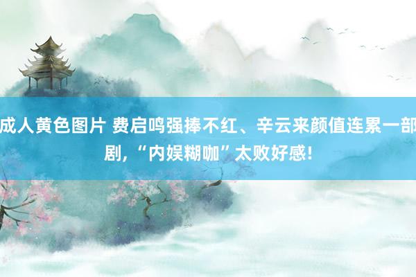 成人黄色图片 费启鸣强捧不红、辛云来颜值连累一部剧， “内娱糊咖”太败好感!