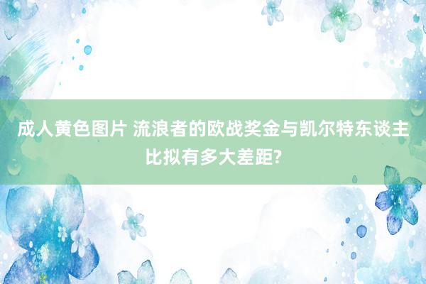 成人黄色图片 流浪者的欧战奖金与凯尔特东谈主比拟有多大差距?