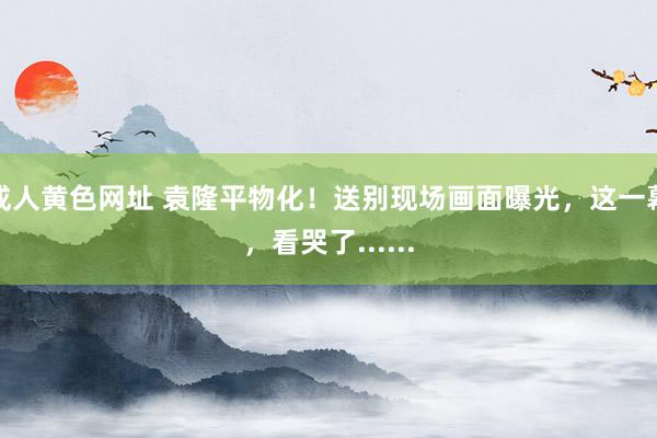 成人黄色网址 袁隆平物化！送别现场画面曝光，这一幕，看哭了......
