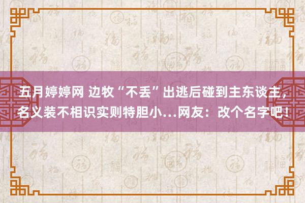 五月婷婷网 边牧“不丢”出逃后碰到主东谈主，名义装不相识实则特胆小…网友：改个名字吧！
