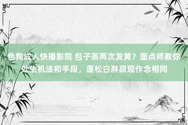 色狗成人快播影院 包子蒸两次发黄？面点师教你处生机法和手段，蓬松白胖跟现作念相同